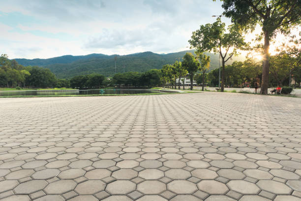 Best Concrete Paver Driveway  in Harrisonburg, VA